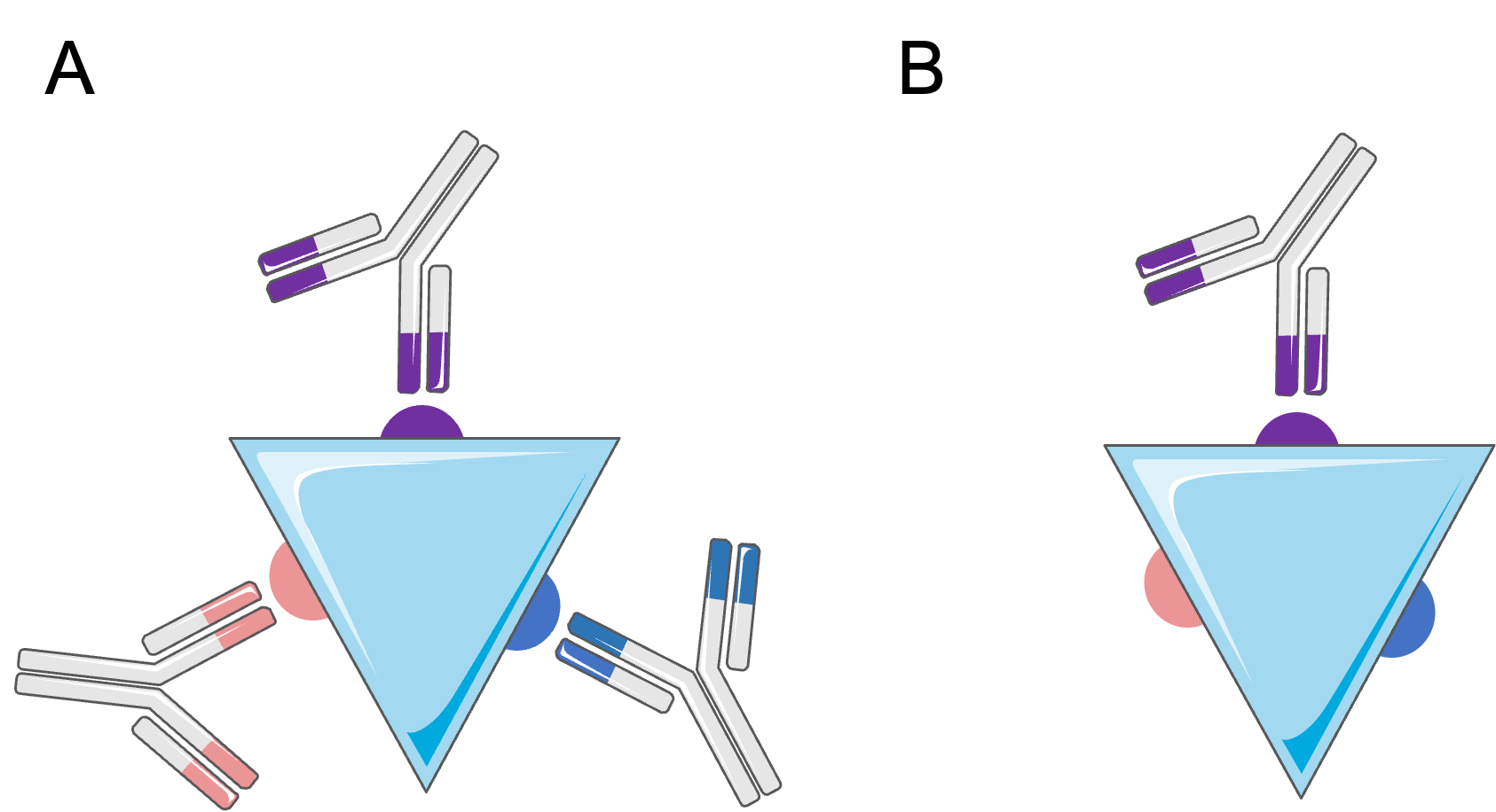 Figure 1. A: Polyclonal antibodies recognize several different epitopes of the same antigen. B: Monoclonal antibodies recognize a single epitope of a given antigen.